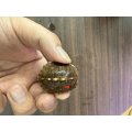 トウブハコガメTSDメス　レッド(4)