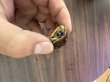 画像2: トウブハコガメTSDメス　レッド(4) (2)